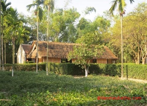 cam nghi ve bai tho ban den choi nha cua nha tho nguyen khuyen - Cảm nghĩ về bài thơ Bạn đến chơi nhà của nhà thơ Nguyễn Khuyến