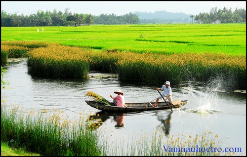 phan tich bai tho dat nuoc cua nguyen dinh thi van 12 - Phân tích bài thơ Đất nước của Nguyễn Đình Thi - Văn 12