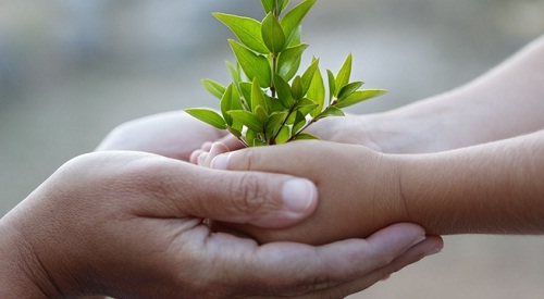 suy nghi ve cau noi khoan dung la duc tinh dem loi ve cho ca ta lan nguoi khac - Suy nghĩ về câu nói: Khoan dung là đức tính đem lợi về cho cả ta lẫn người khác