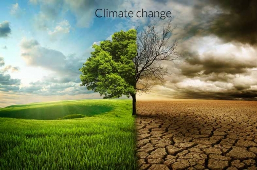 ms460 - MS460 - Nghị luận xã hội về biến đổi khí hậu