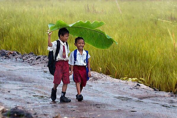 cam nghi ve tinh ban 1 - Cảm nghĩ của em về tình bạn