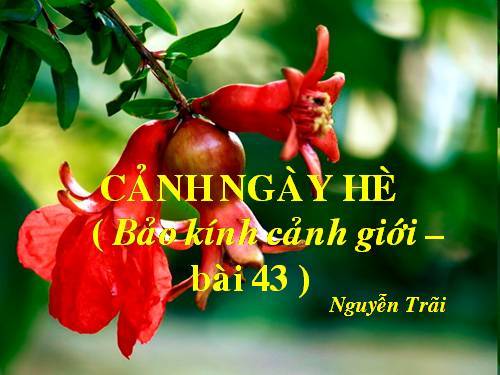 cam nhan bai canh ngay he - Cảm nhận bài thơ Cảnh ngày hè của Nguyễn Trãi